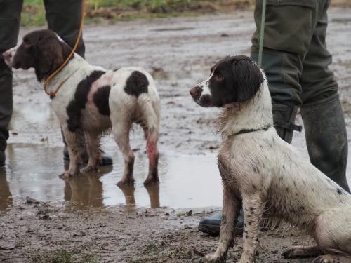 Jeugd veldwedstrijd 14 december 2021 Grathem - Marianne Coppelmans